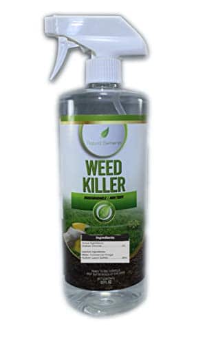 Natural Elements Weed Killer review