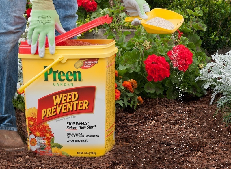 Preen Weed Killer Review