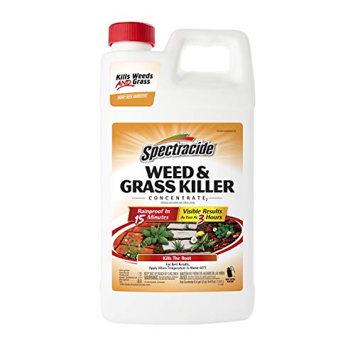 Spectracide Weed & Grass Killer Concentrate review
