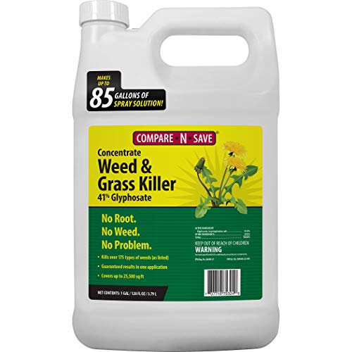 Compare-N-Save Concentrate Grass and Weed Killer review