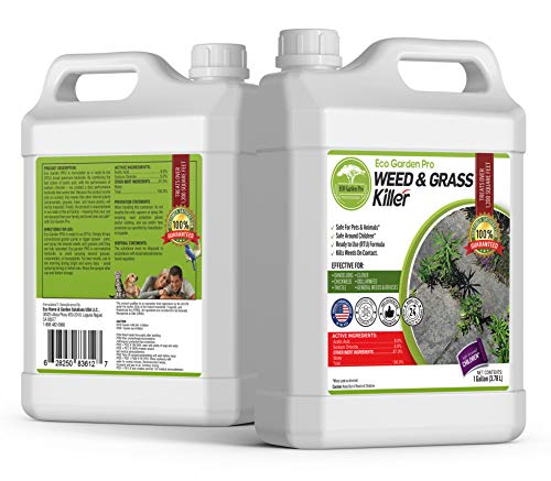 ECO Garden PRO - Organic Vinegar Weed Killer review