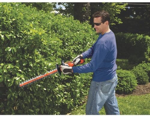 best electric hedge trimmer 2020