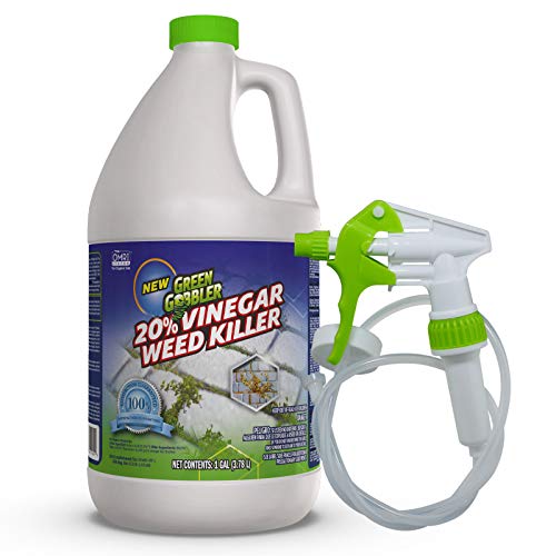 Green Gobbler Vinegar Weed & Grass Killer review