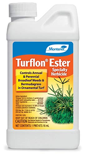 Monterey Turflon Ester review