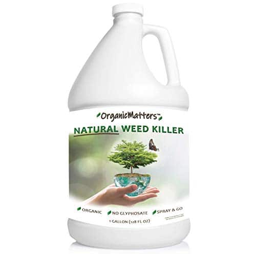 OrganicMatters Natural Weed Killer Spray review