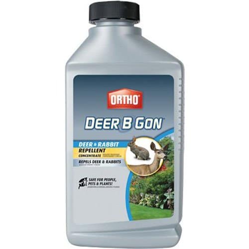 Ortho Deer B Gon review