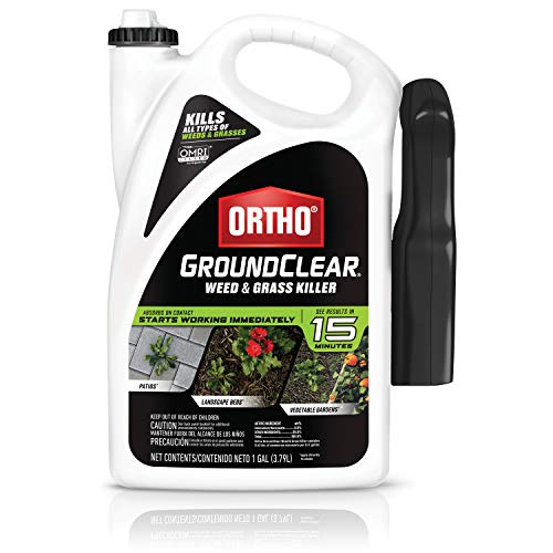 Ortho GroundClear review