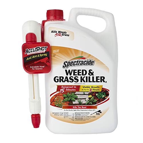 Spectracide Weed & Grass Killer review