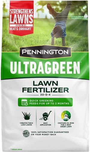 Pennington UltraGreen review