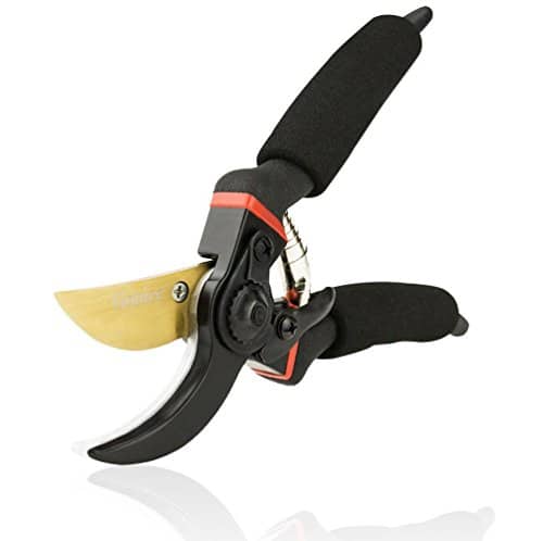 gonicc 8-inch Professional Premium Titanium Bypass Pruning Shears review