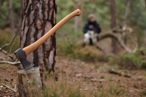 axe for splitting wood review