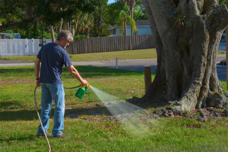 Can You Spray Weed Killer On Wet Grass (Spraying Weeds Before & After