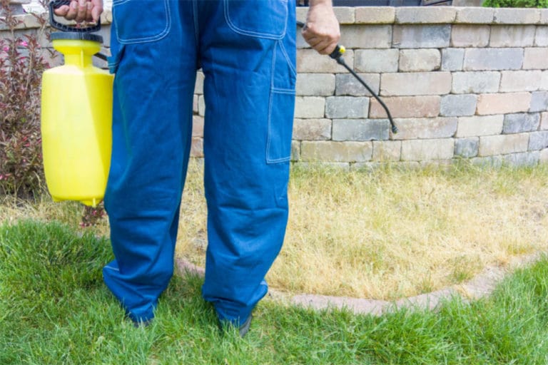 does-weed-killer-expire-pesticide-and-herbicide-shelf-life