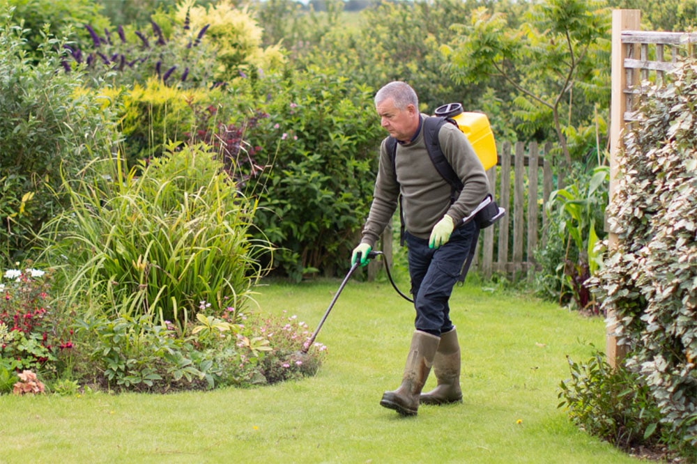 How Does Weed Killer Not Kill Grass