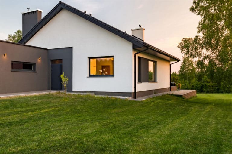Does Dawn Dish Soap Kill Grass? (The Effects of Dish Soap on Lawn